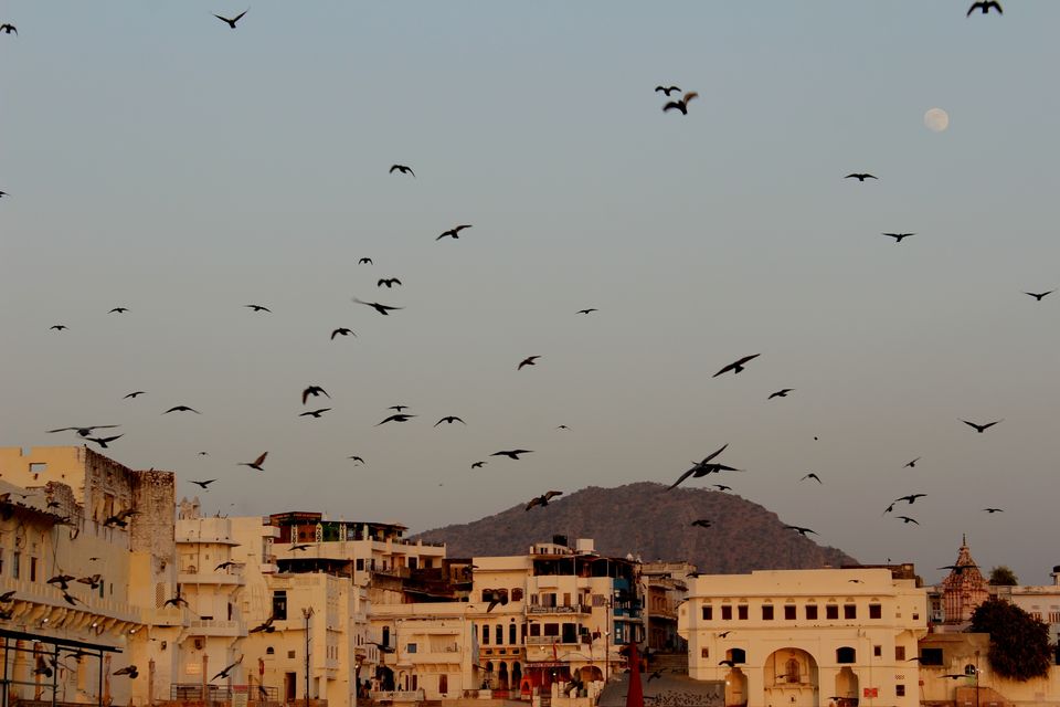 Photo of Pushkar, Rajasthan - Around Delhi 2/8 by Sonam Singh