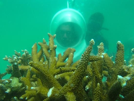 Photo of 3 Days in Pattaya 10/10 by Shashank ShArma