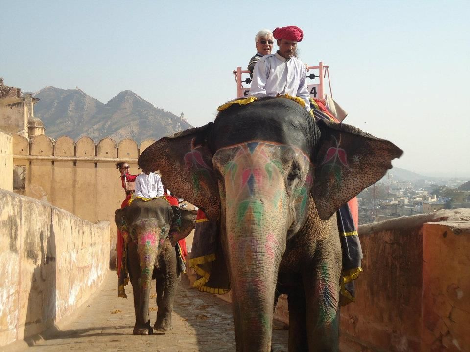 Photo of Finding My Travel Feet: Jaipur, Rajasthan 5/13 by Nithya Nair