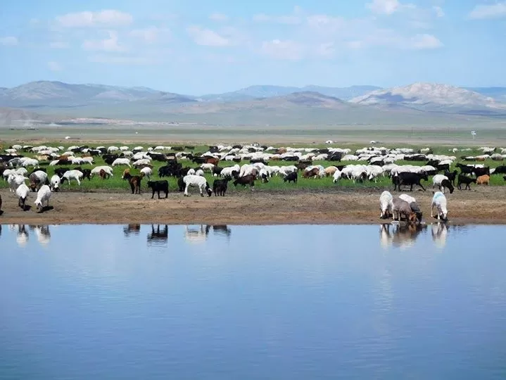 Photo of Mongolia by Neringa Urnikyte