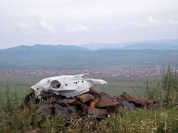 Photo of Mongolia by Neringa Urnikyte