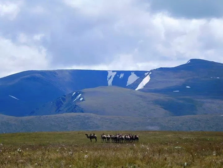 Photo of Mongolia by Neringa Urnikyte