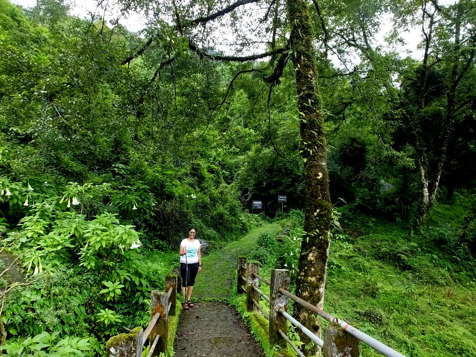Photo of LOST & FOUND: TREK TO DUBDI MONASTERY, WEST SIKKIM by Suvasini
