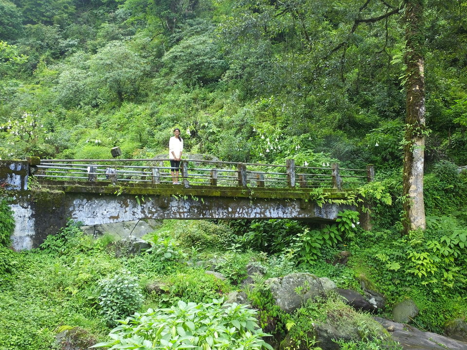 Photo of LOST & FOUND: TREK TO DUBDI MONASTERY, WEST SIKKIM by Suvasini