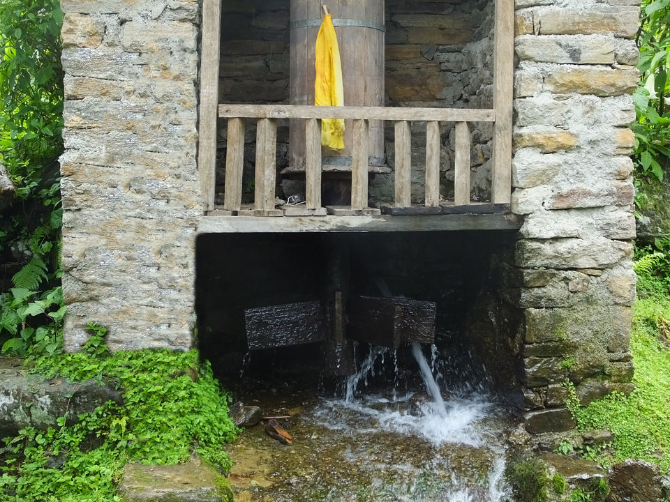 Photo of LOST & FOUND: TREK TO DUBDI MONASTERY, WEST SIKKIM by Suvasini