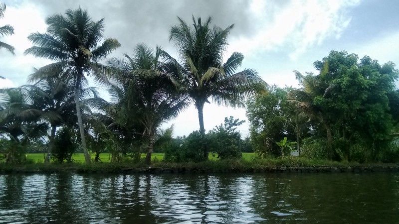 Photo of Alleppey, Kerala, India by Suvasini