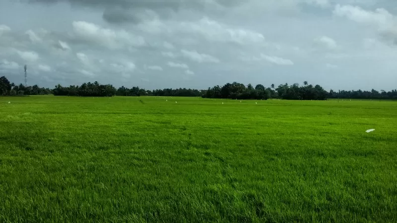 Photo of Kuttanad, Kerala, India by Suvasini