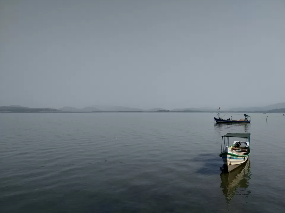 Photo of Aghanashini River, Bilgi, Karnataka, India by Suvasini
