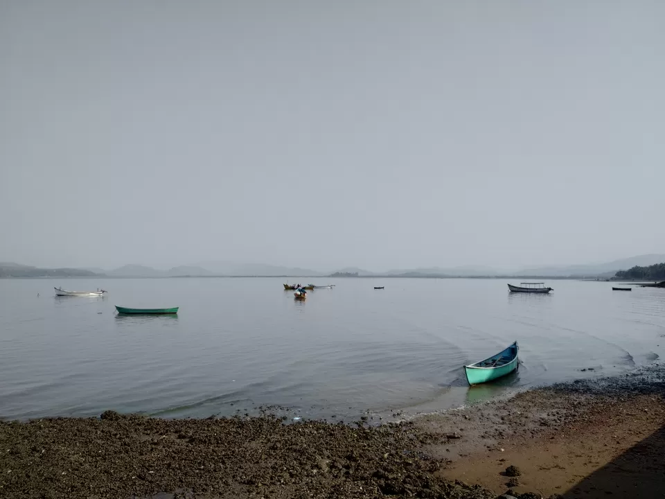 Photo of Aghanashini River, Bilgi, Karnataka, India by Suvasini