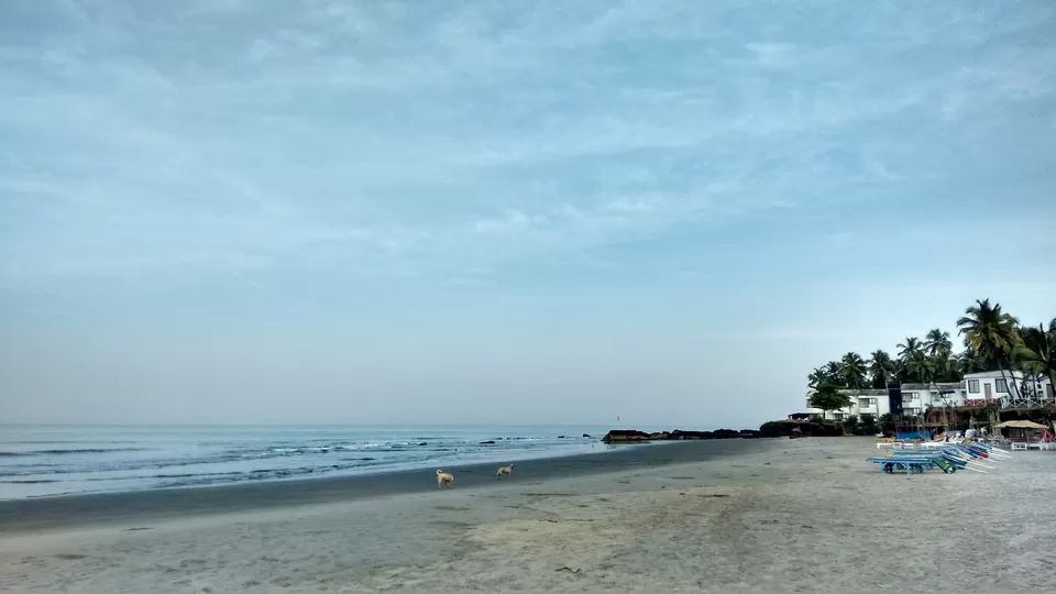 Photo of Ashwem Beach, Mandrem, Goa, India by Suvasini