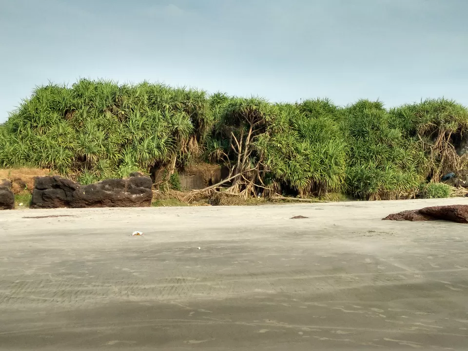 Photo of Ashwem Beach, Mandrem, Goa, India by Suvasini