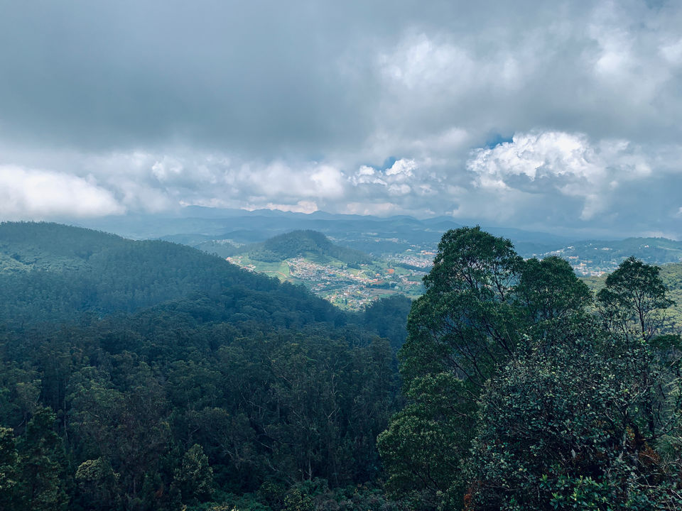Photo of Road trip to Nilgiris by Murali Pachiappan