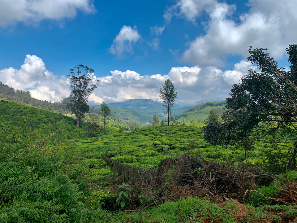 Photo of Road trip to Nilgiris by Murali Pachiappan