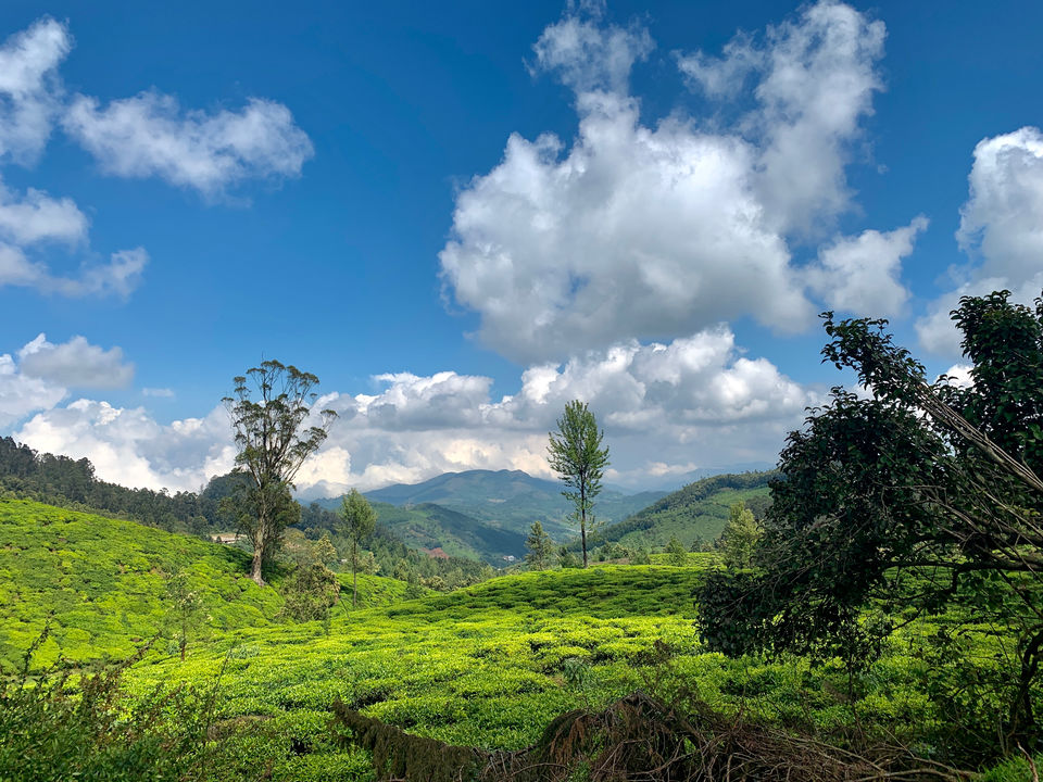 Photo of Road trip to Nilgiris by Murali Pachiappan