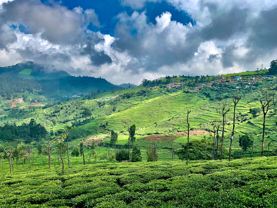 Photo of Road trip to Nilgiris by Murali Pachiappan