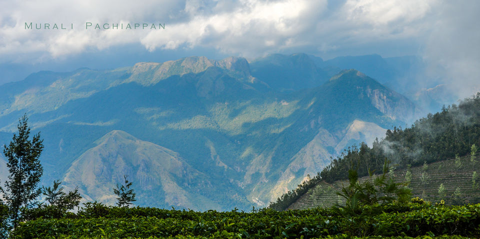 Photo of Munnar - A new Journey 3/11 by Murali Pachiappan