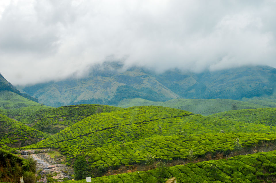 Photo of Munnar - A new Journey 6/11 by Murali Pachiappan