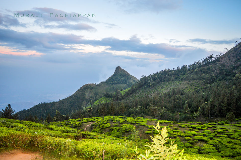 Photo of Munnar - A new Journey 10/11 by Murali Pachiappan
