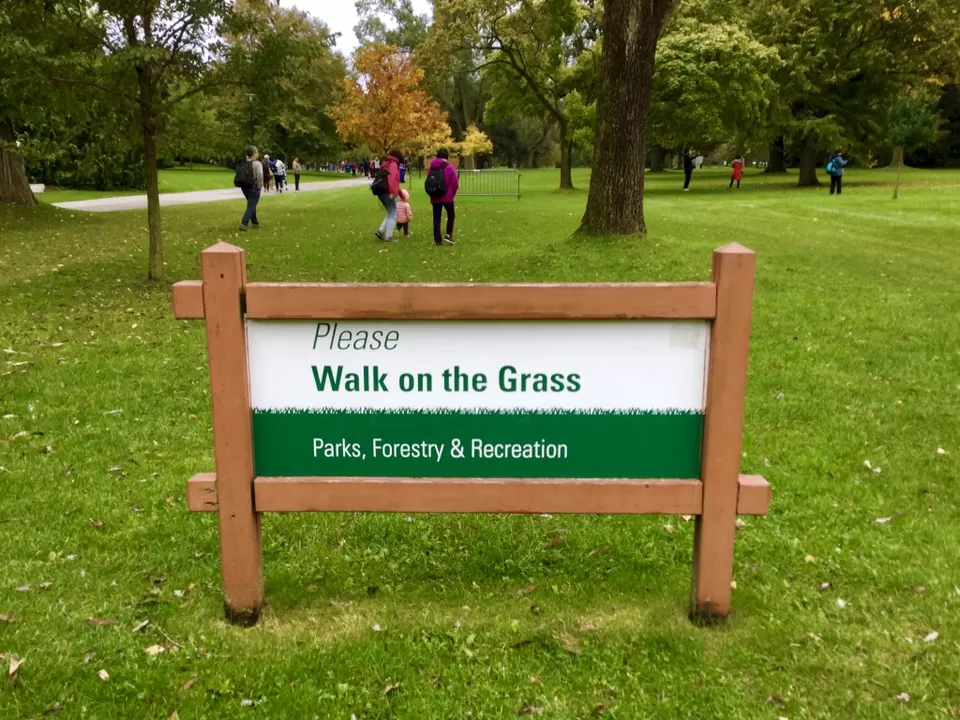 Photo of Toronto, ON, Canada by Murali Pachiappan