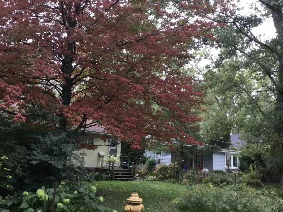 Photo of Toronto, ON, Canada by Murali Pachiappan