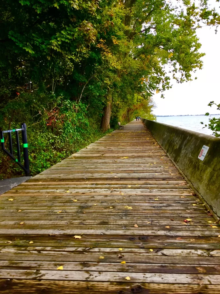 Photo of Toronto, ON, Canada by Murali Pachiappan