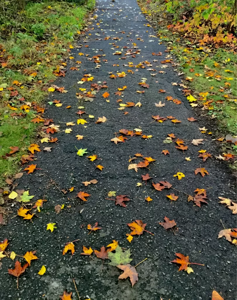 Photo of Toronto, ON, Canada by Murali Pachiappan