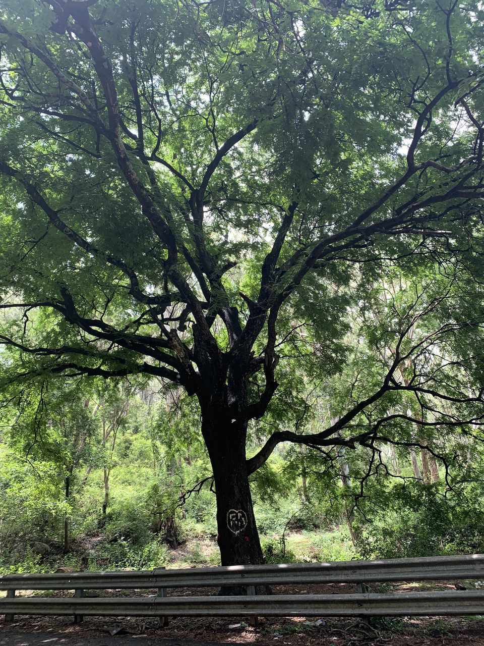 Photo of Road Trip to Yelagiri Hills by 0-Mile Destination