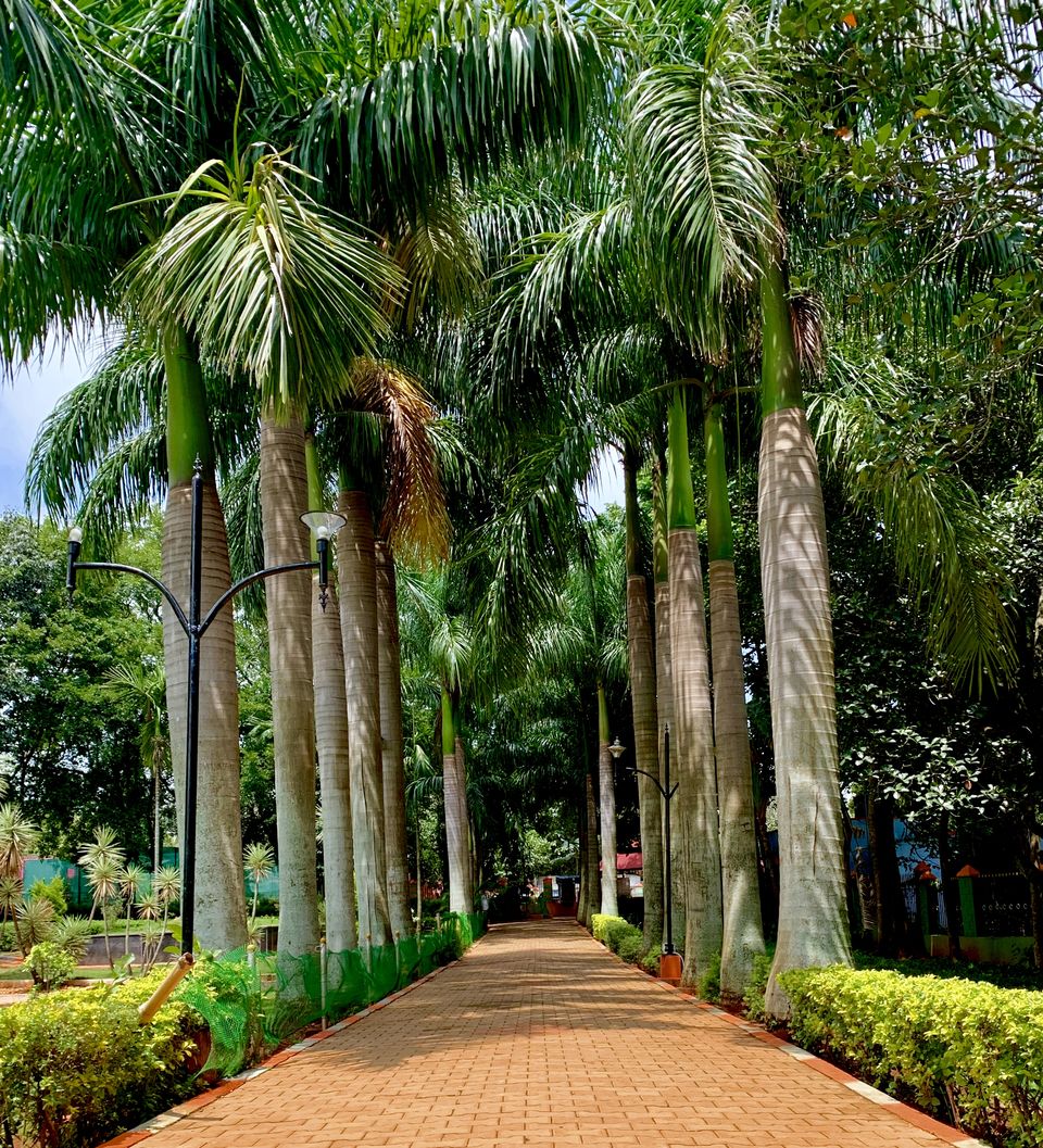 Photo of Yelagiri - Nature Park, Yelagiri, Tamil Nadu, India by 0-Mile Destination