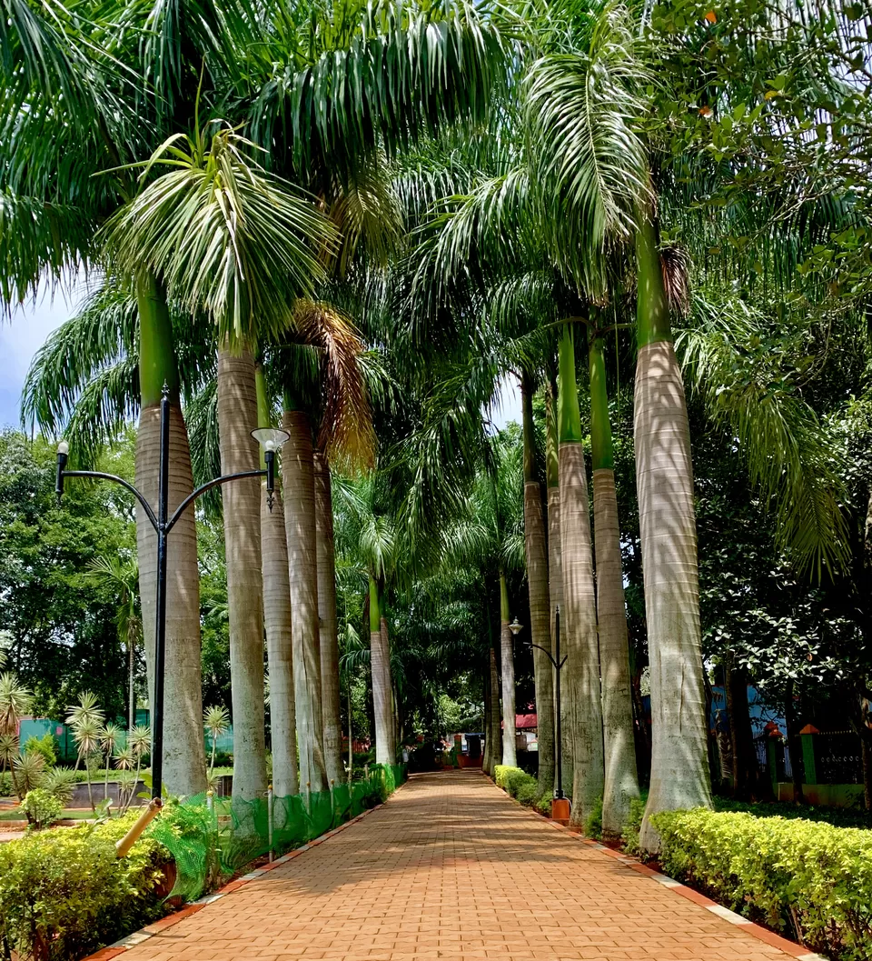 Photo of Yelagiri - Nature Park, Yelagiri, Tamil Nadu, India by Murali Pachiappan
