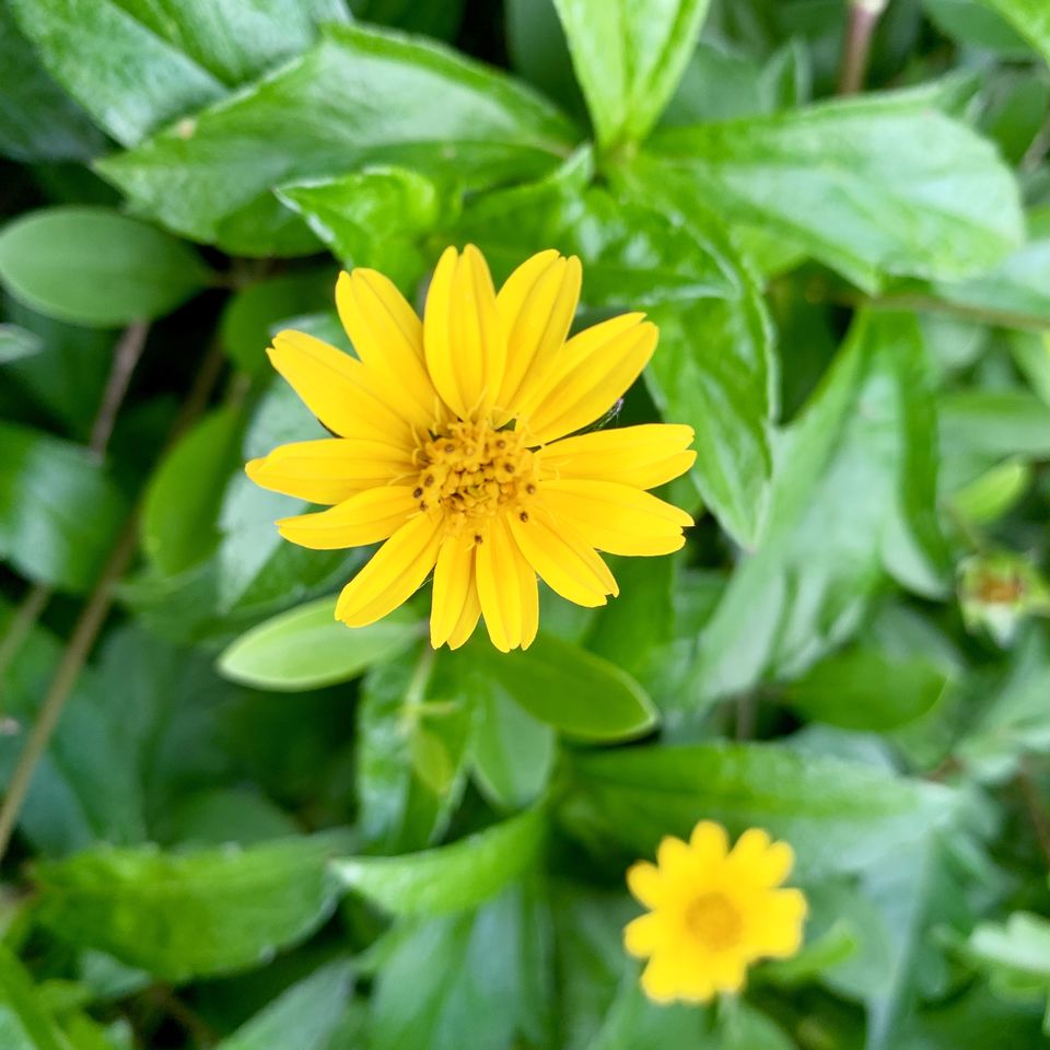 Photo of Yelagiri - Nature Park, Yelagiri, Tamil Nadu, India by 0-Mile Destination