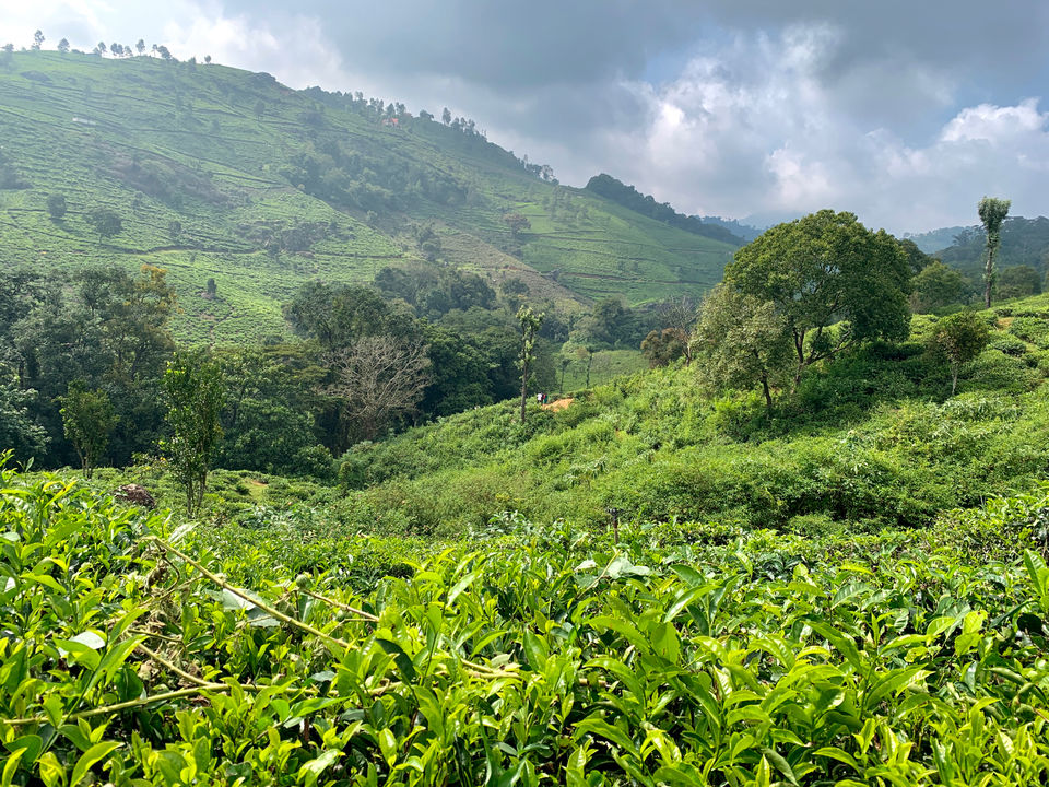 Photo of Road trip to Nilgiris by Murali Pachiappan