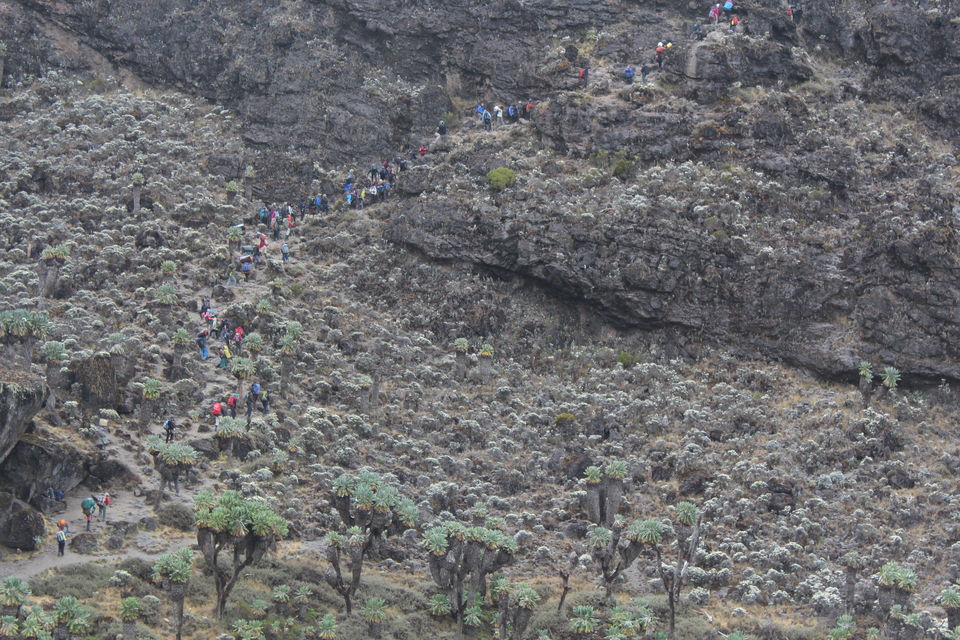 Photo of Kilimanjaro Region, Tanzania by Aneil Thakkar