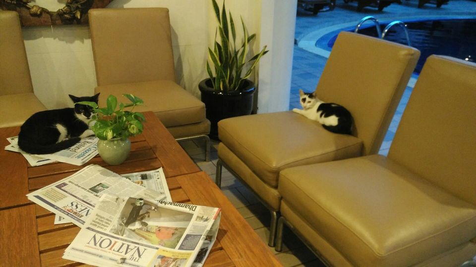 Photo of 5 eye openers as a first time visitor to Thailand 5/5 by Varalika Vij