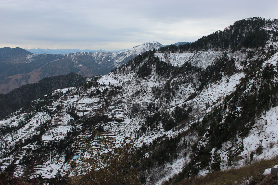 Photo of Winter Wonderland near Dhanaulti 1/1 by Rajat Gupta