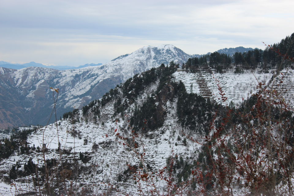 Photo of Winter Wonderland near Dhanaulti by Rajat Gupta