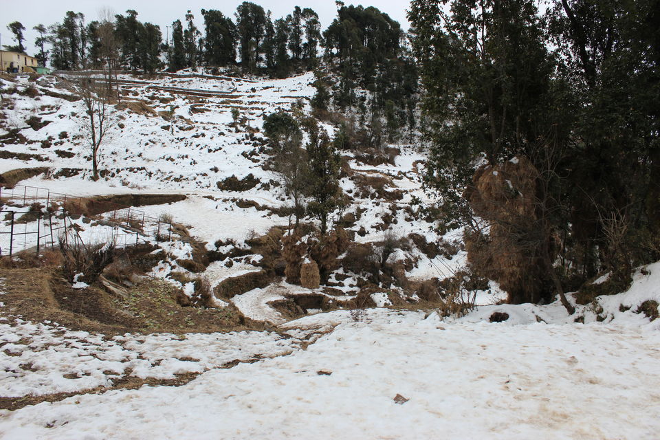 Photo of Winter Wonderland near Dhanaulti by Rajat Gupta