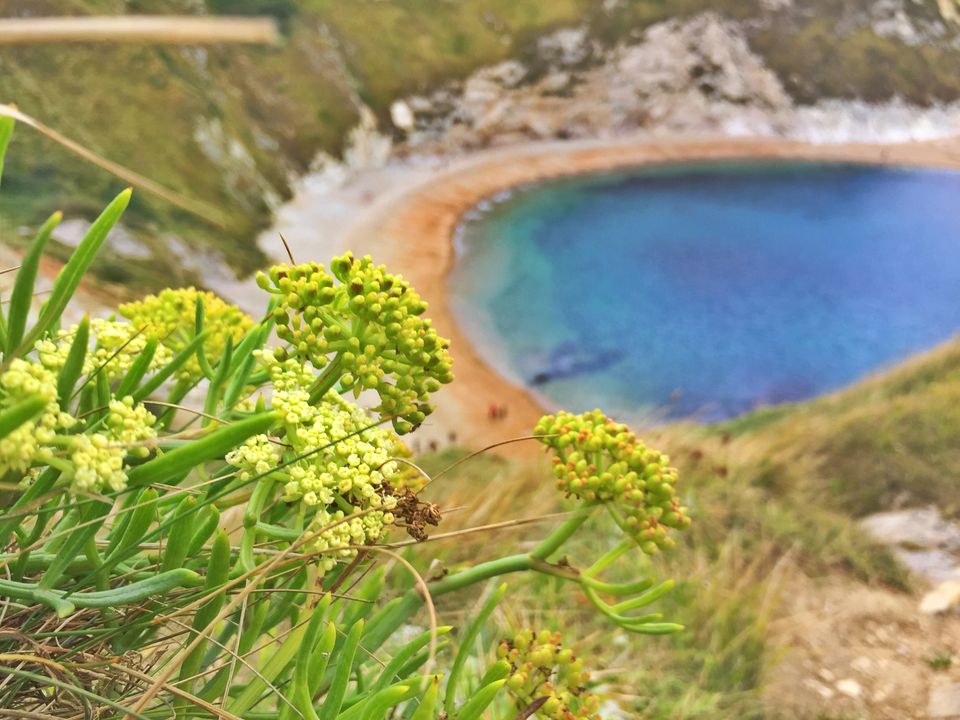 Photo of Roadtripping UK | Durdle Door and Brighton by Pradeep Kumar Rajendran