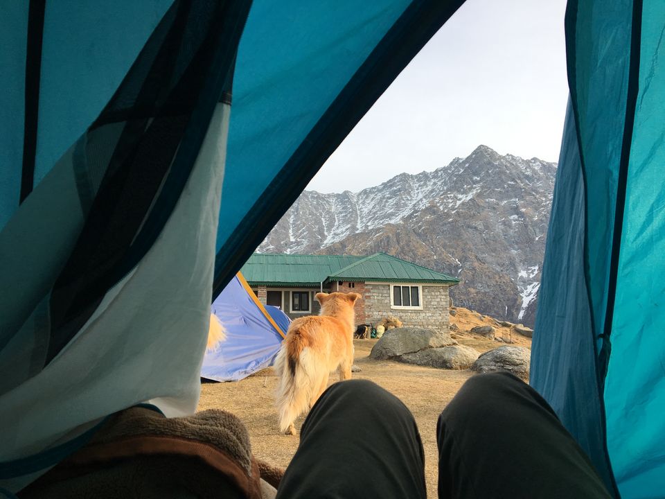 Photo of Triund, Himachal Pradesh by Abhishek Arora