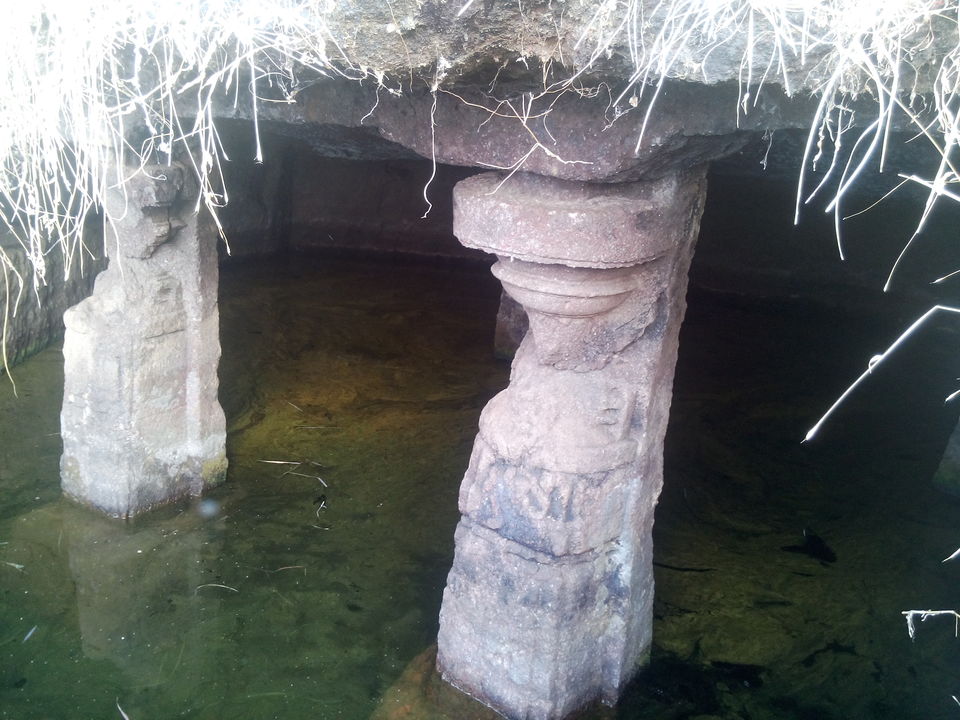 Photo of Mahipat-Sumar-Rasal Forts - Adventurous Trio in Konkan, Maharashtra, India 15/49 by Anurag Chivilkar