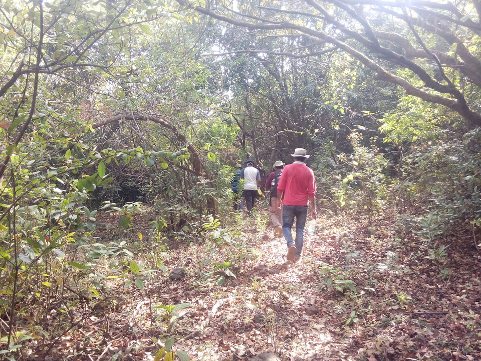 Photo of Mahipat-Sumar-Rasal Forts - Adventurous Trio in Konkan, Maharashtra, India 16/49 by Anurag Chivilkar