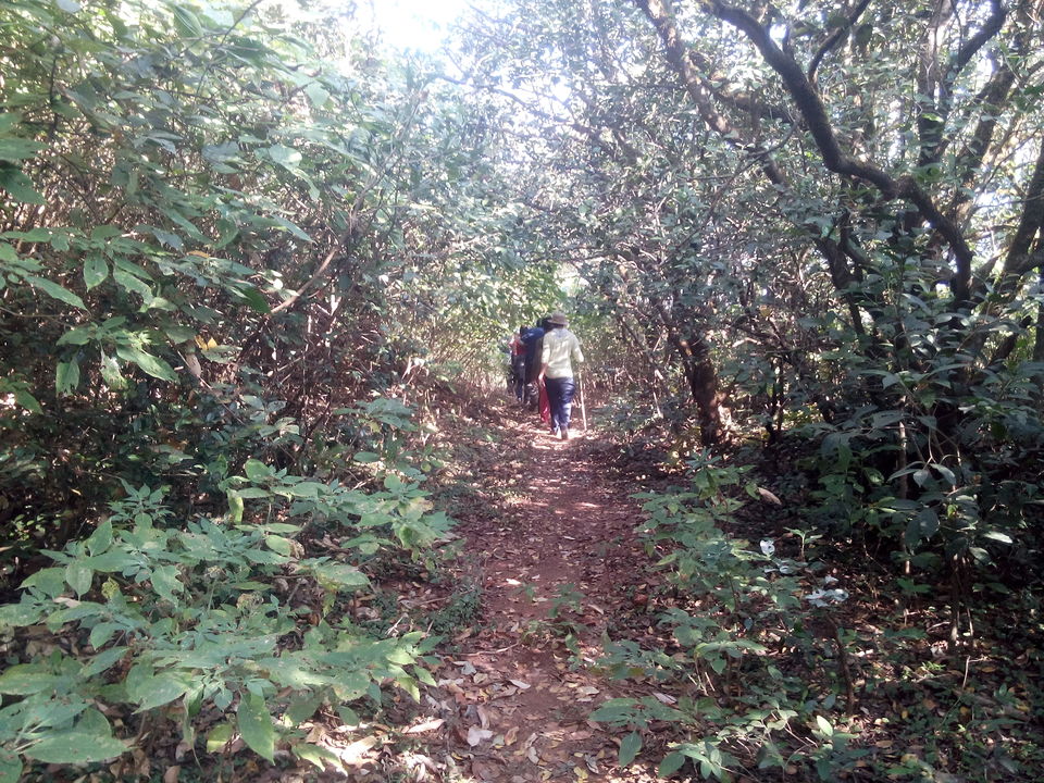 Photo of Mahipat-Sumar-Rasal Forts - Adventurous Trio in Konkan, Maharashtra, India 31/49 by Anurag Chivilkar