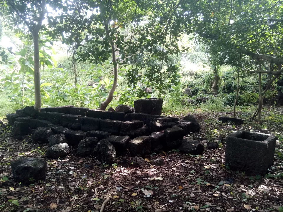 Photo of Ambolgad, Maharashtra, India by Anurag Chivilkar