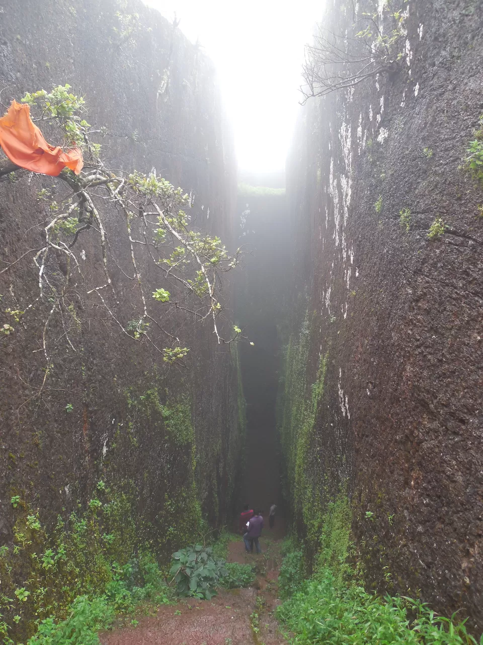 Photo of Tolewadi, Maharashtra, India by Anurag Chivilkar
