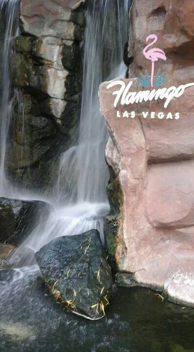 Photo of Now you know why Las Vegas is a must go to! by Siddhi Kaul