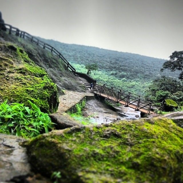 Photo of Breathe! Travel Solo 1/2 by Asmita More