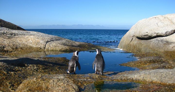 Photo of Retire at the Cape - My trip to South Africa - Selfie Tales by Selfietales