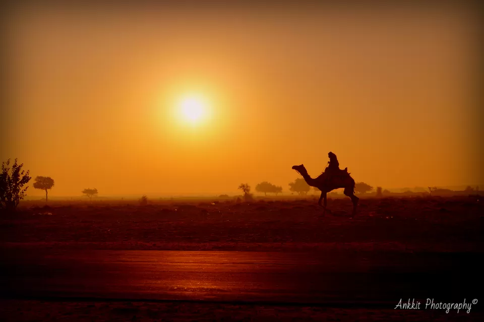 Photo of MDR 53, MDR 53, Ram Kund, Jaisalmer, Rajasthan 345001, India by Ankkit Saxena