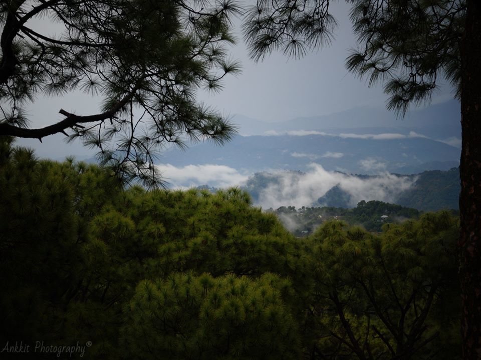 Photo of Kasauli – A Breakup with Metropolitan Lifestyle 4/9 by Ankkit Saxena