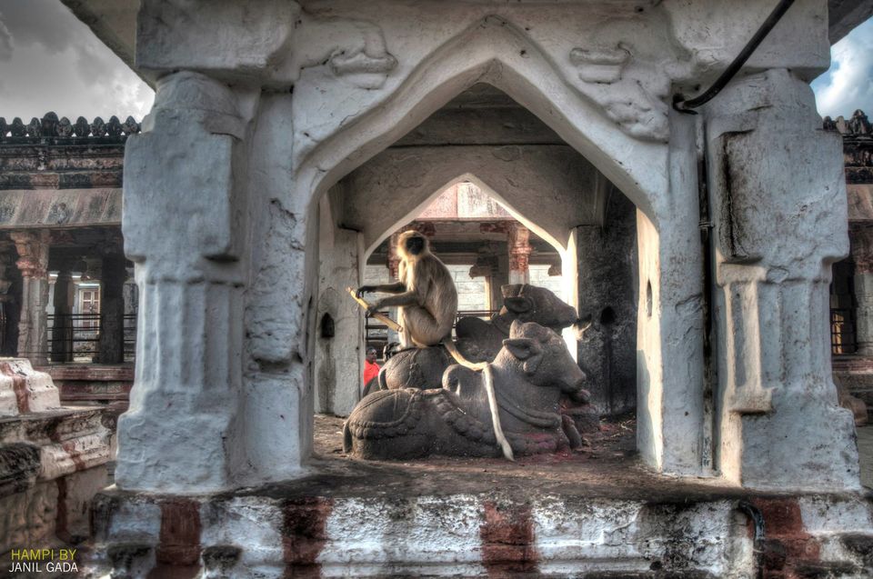 Photo of Hampi - The lost kingdom 11/29 by Janil Gada