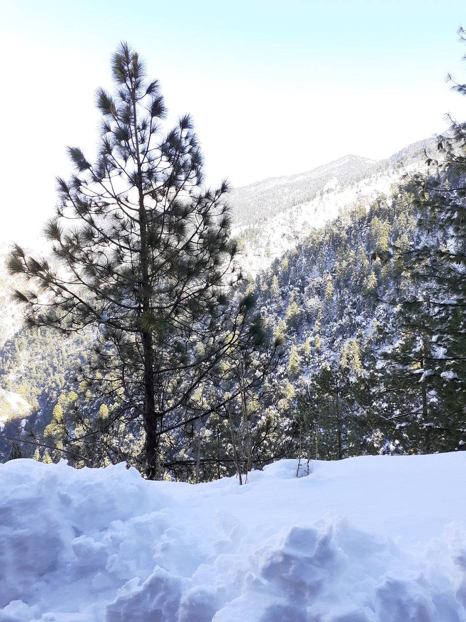Photo of Himalaya in me by Aayushi Jain